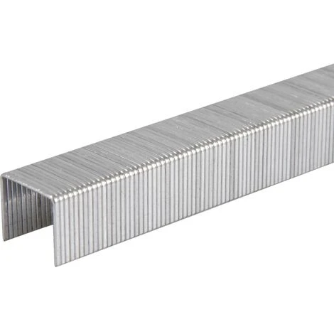 PINZE TACWISE TIPO 53 6 MM ZINCATE (SCATOLA DA 5000) 1 PINZE TACWISE TIPO 53 6 MM ZINCATE (SCATOLA DA 5000)