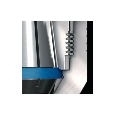 FAHRION - Mandrino A Pinza ER Di Precisione CENTRO P, HSK-E 40 A = 55, Modello CP Per ER: 16M 2 FAHRION - Mandrino A Pinza ER Di Precisione CENTRO P, HSK-E 40 A = 55, Modello CP Per ER: 16M - immagine 2